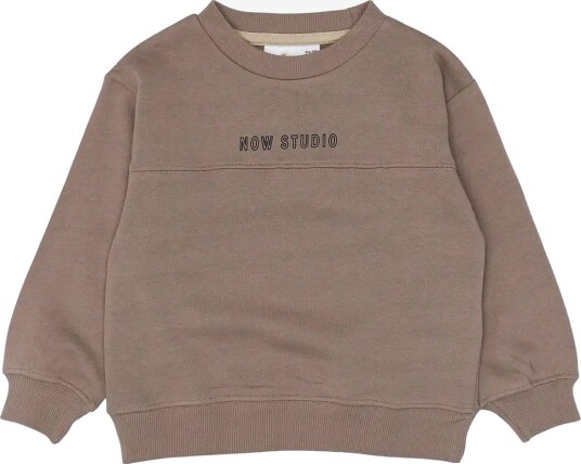 The New Tnstverylo Os Sweatshirt TAUPE GRAY TN 104