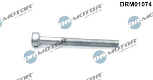 Bolt, innsprøytningsdyse holder Dr.Motor Automotive DRM01074