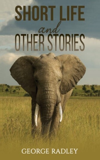 Short Life and Other Stories Short Life and Other Stories