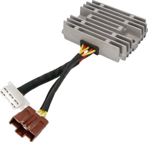 ARROWHEAD APG6003 Dynamoregulator