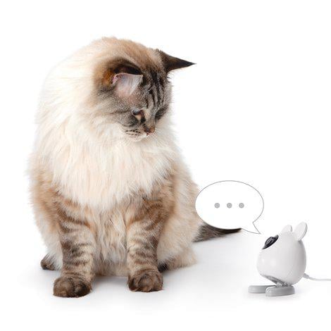 Catit Pixi Smart Camera 7X12Cm (785.0336)