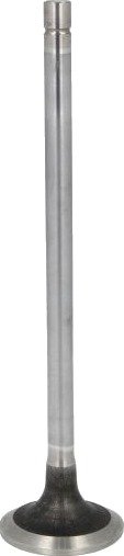 Innløpsventil FPT 500355778 Innløpsventil FPT 500355778