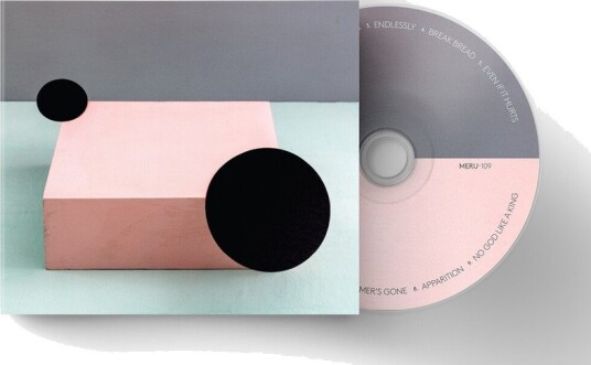 Son Lux Out Into CD