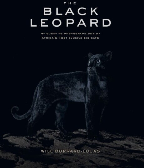 The Black Leopard
