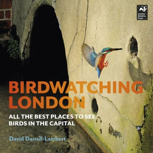 Birdwatching London Av David Darrell-Lambert