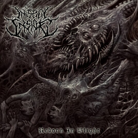 Insect Inside Reborn In Blight CD