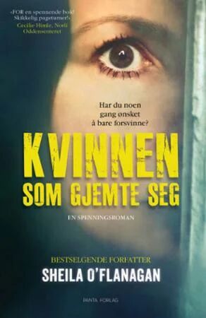 Kvinnen Som Gjemte Seg Av Sheila O'Flanagan