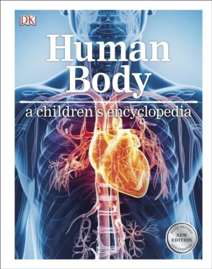 Human Body A Children'S Encyclopedia Av Dk
