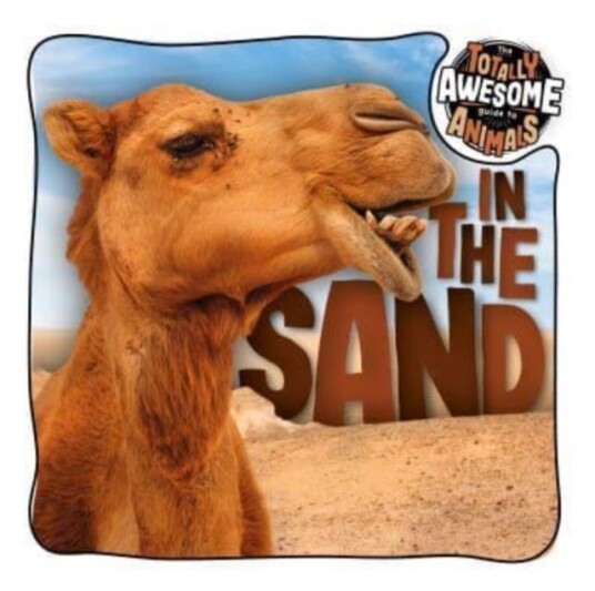 In The Sand Av Brenda Mchale
