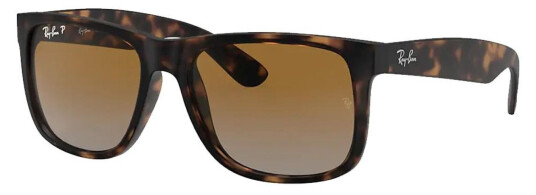 Ray-Ban Justin Classic Tortoise Brown Polarized