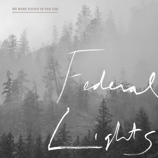 Federal Lights We Were Found In The Fog Vinyl
