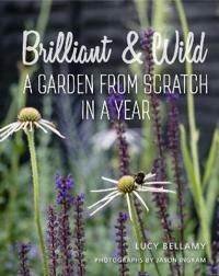 Brilliant And Wild Av Lucy Bellamy Brilliant And Wild Av Lucy Bellamy