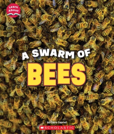 A Swarm Of Bees (Learn About: Animals) Av Claire Caprioli