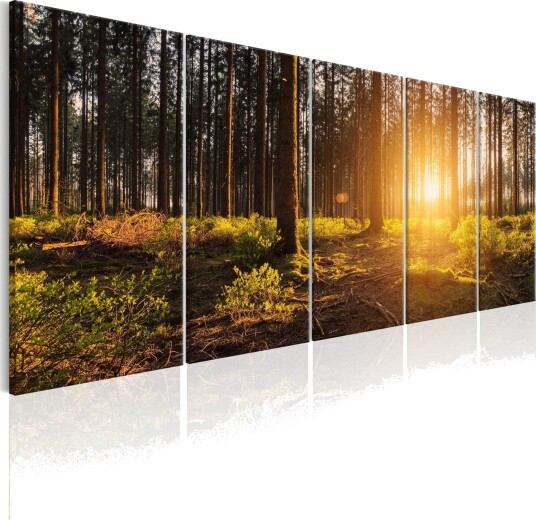 Bilde Summer Morning 200x80 Artgeist sp. z o. o.