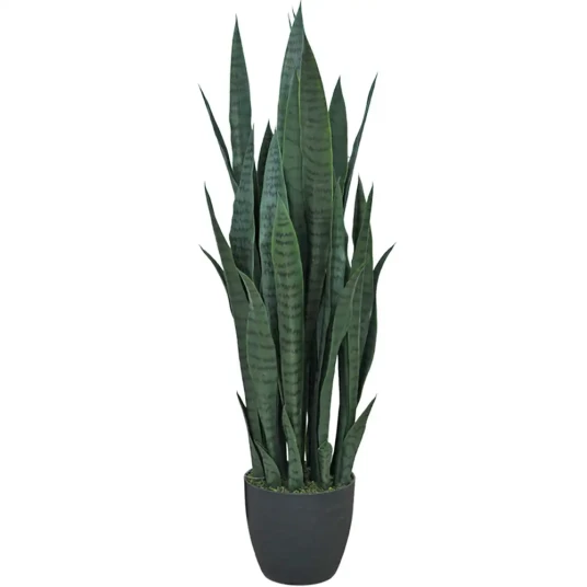 Mr Plant Sansevieria Potteplante 100 cm Mr Plant Sansevieria Potteplante 100 cm