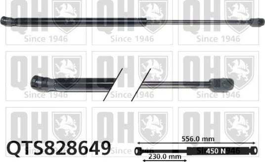 Baklukedemper QUINTON HAZELL QTS828649