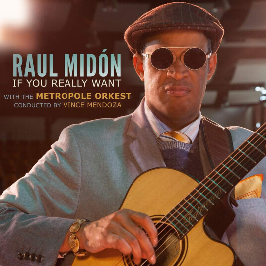 Raul Midón If You Really Want CD