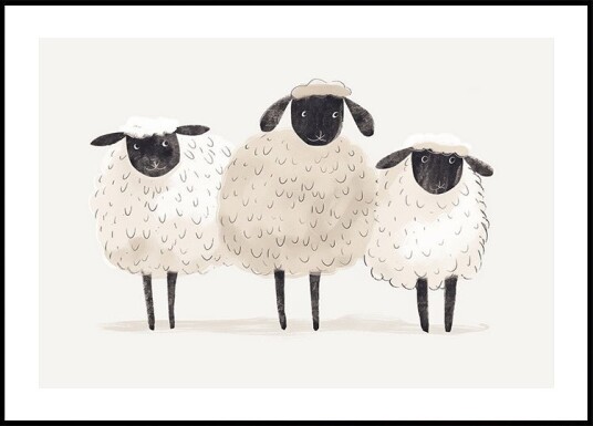 Trio Of Sheep Plakat Plakat / 30x40cm