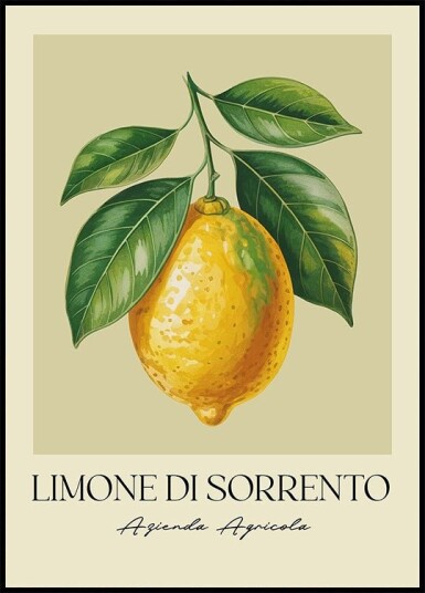Limone Di Sorrento Plakat Plakat / 30x40cm