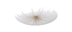 EGLO Nieves 1, LED, 3000 K, 1100 lm, IP20, Gull, Hvit EGLO Nieves 1, LED, 3000 K, 1100 lm, IP20, Gull, Hvit