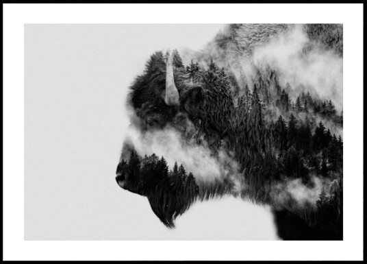 Forest Bison Spirit Plakat / 70x100