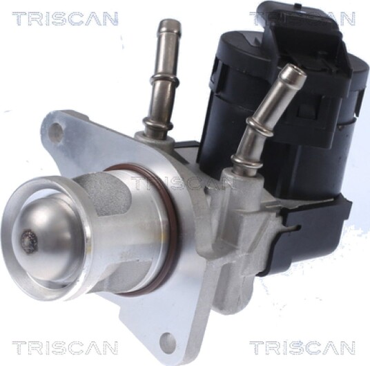 EGR Ventil TRISCAN 8813 11001 EGR Ventil TRISCAN 8813 11001