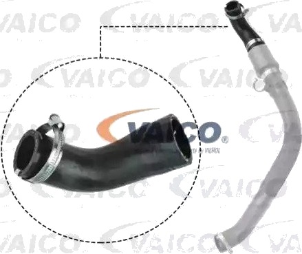 VAICO V25 1044 Ladeluftslange
