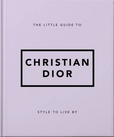The Little Guide To Christian Dior Av Orange Hippo!