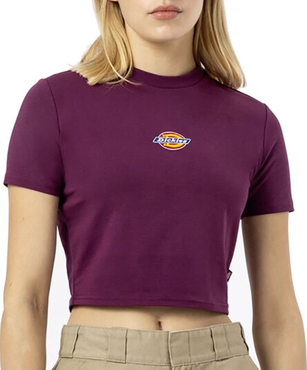 Dickies T skjorte Maple Valley Grape Wine DickieSmall T skjorte Rød