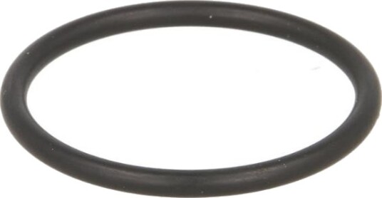 Euroricambi 95531009 Tetning, oljepumpe