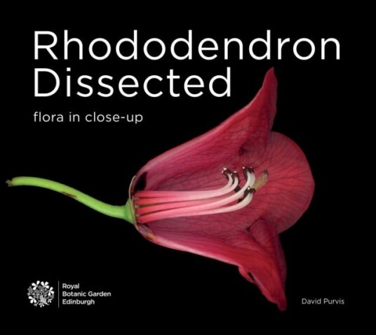 Rhododendron Dissected