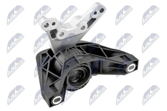 Motorfeste NTY ZPS-PL-081