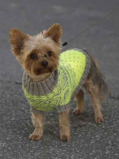 Viking Garn 1711 27 Refleksvest Hund