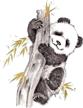 Forgylt Firkantkort Cl3816_Bl Panda
