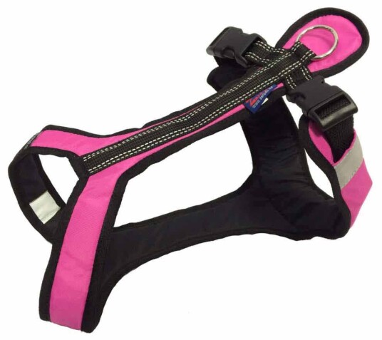 Zero DC ZeroDC Short Pink -Hundesele