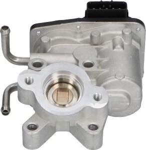 EGR-ventil KAVO PARTS EEG-8003