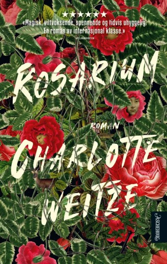 Rosarium Av Charlotte Weitze