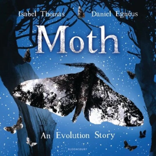 Moth Av Isabel Thomas