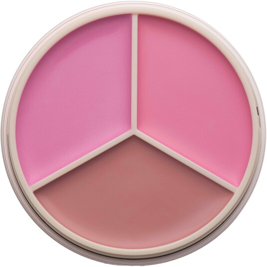 Anastasia Beverly Hills Blush Trio Pink 9g Anastasia Beverly Hills Blush Trio Pink 9g