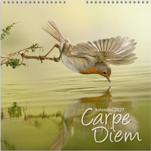 Billedkalender GRIEG 2027 Carpe Diem