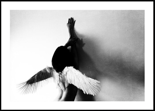 not fly Plakat / 21x30cm