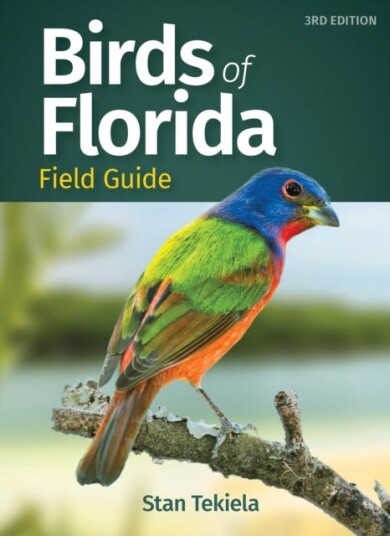 Birds Of Florida Field Guide Av Stan Tekiela Birds Of Florida Field Guide Av Stan Tekiela