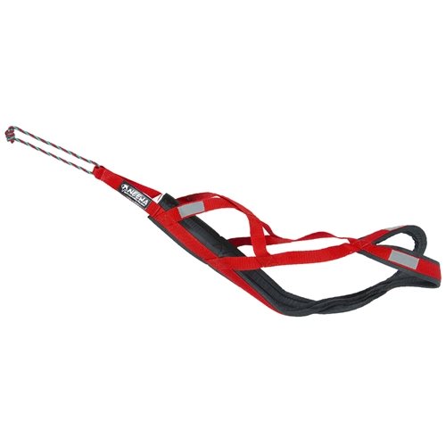 Neewa Sled Pro Dragsele Röd 3XL