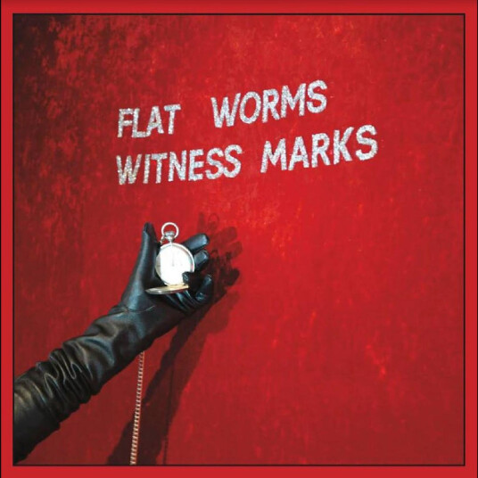 Flat Worms  Witness Marks  Kassett
