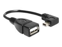 Delock USB-kabel - mini-USB type B til USB - 16 cm