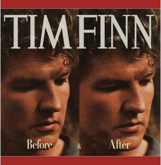 Before After Poinsettia Vinyl