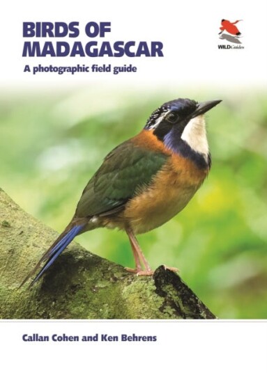 Birds of Madagascar  A Photographic Field Guide