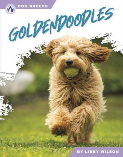 Goldendoodles Goldendoodles