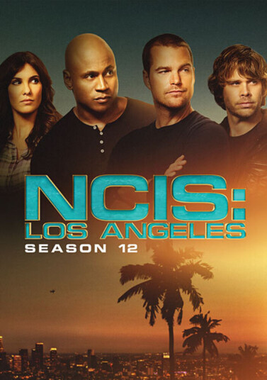 Ncis: Los Angeles: Twelfth Season DVD