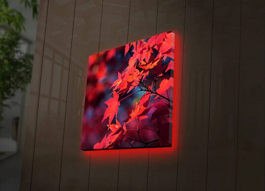 Lerretsbilde med LED belysning 28x28 cm Klart rødt lønneblad i høstfarger Rød / Oransje / Mørk blå